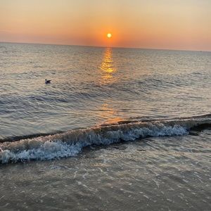 Meet your Posher, Caitlin